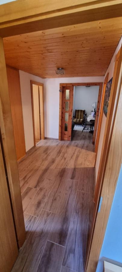 Le Panorama - Appartement 54 A Arolla Face Aux Montagnes A 150M Des Pistes Evolene Bagian luar foto